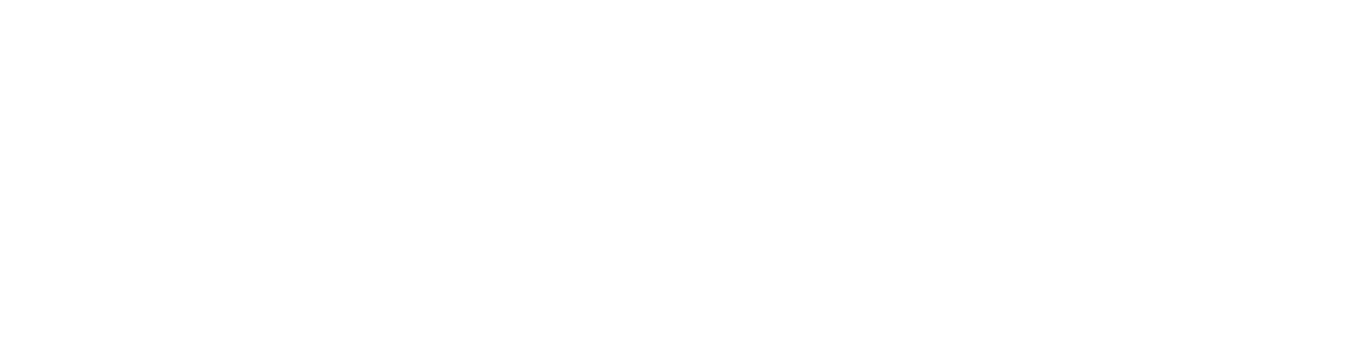 Palmer Moving Services Logo